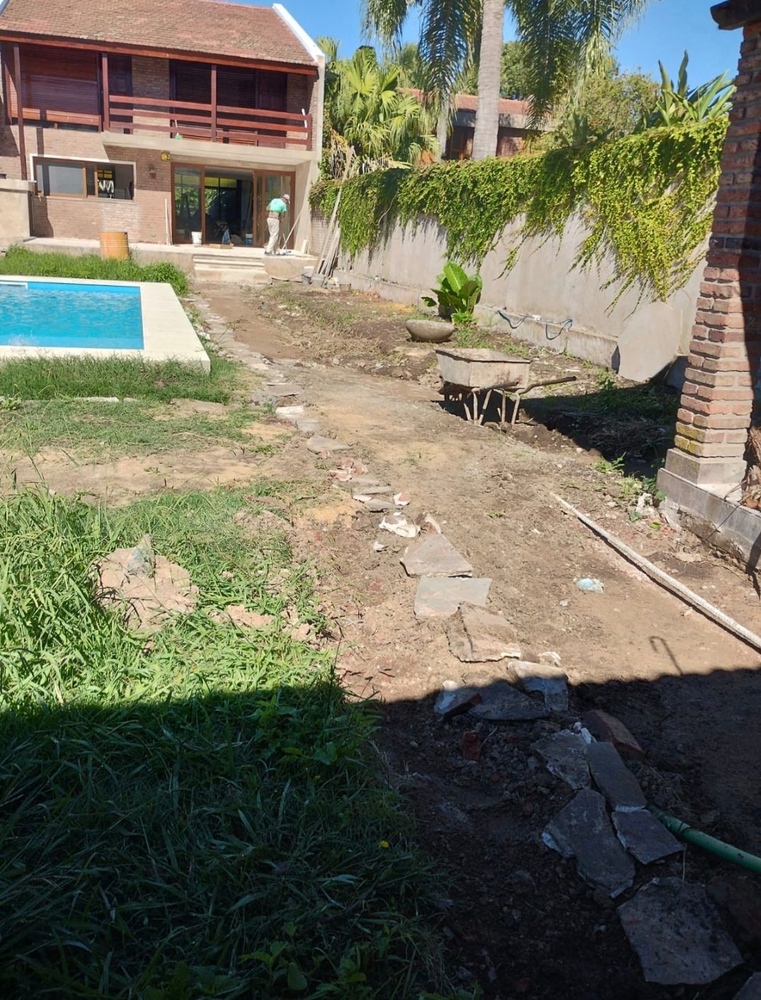 Plantas ornamentales